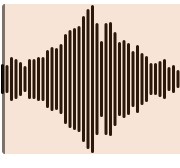 WAV Audio Recorder