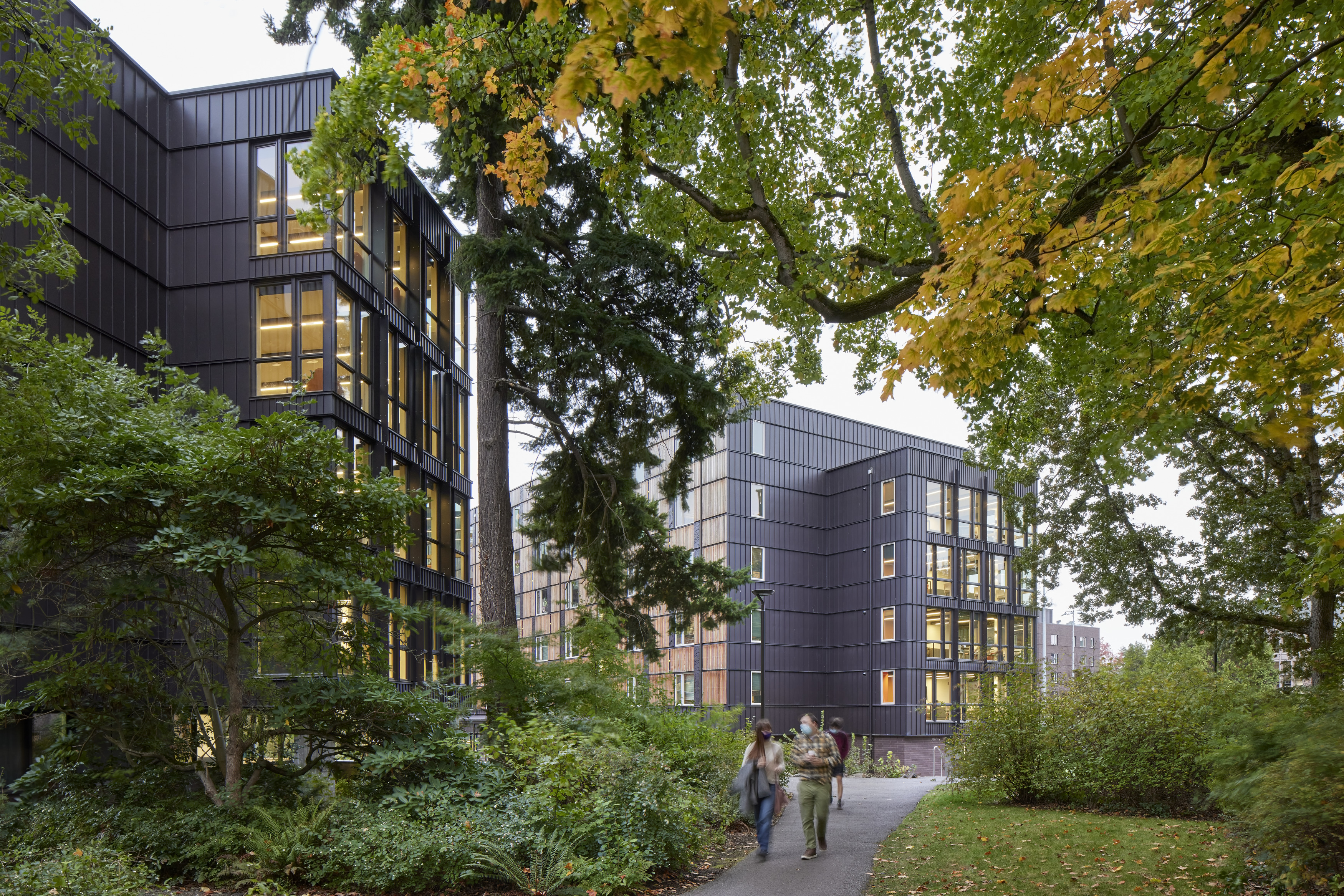UW North Campus Housing - Building Section